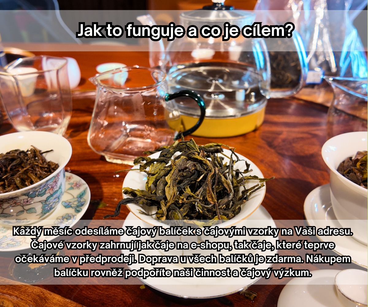 Purpose and function - CZ